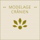 MODELAGE CRANIEN