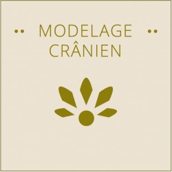 MODELAGE CRANIEN