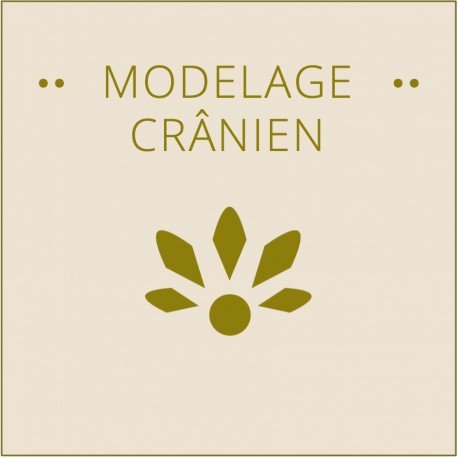 MODELAGE CRANIEN