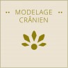 MODELAGE CRANIEN