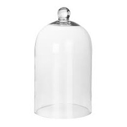 Cloche en verre M