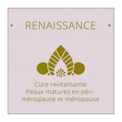 Renaissance 5