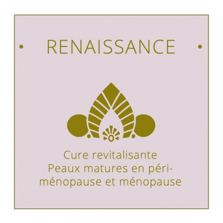 Renaissance 5
